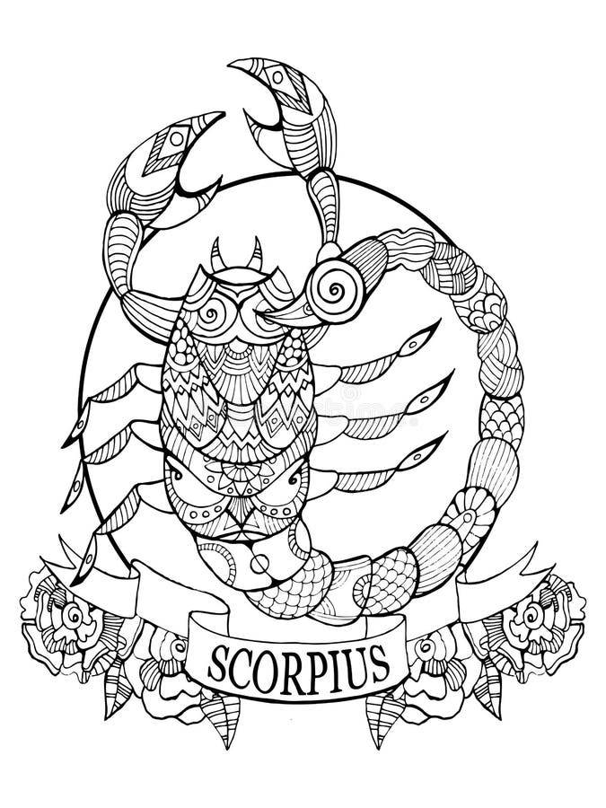 Scorpio zodiac sign coloring book vector stock vector