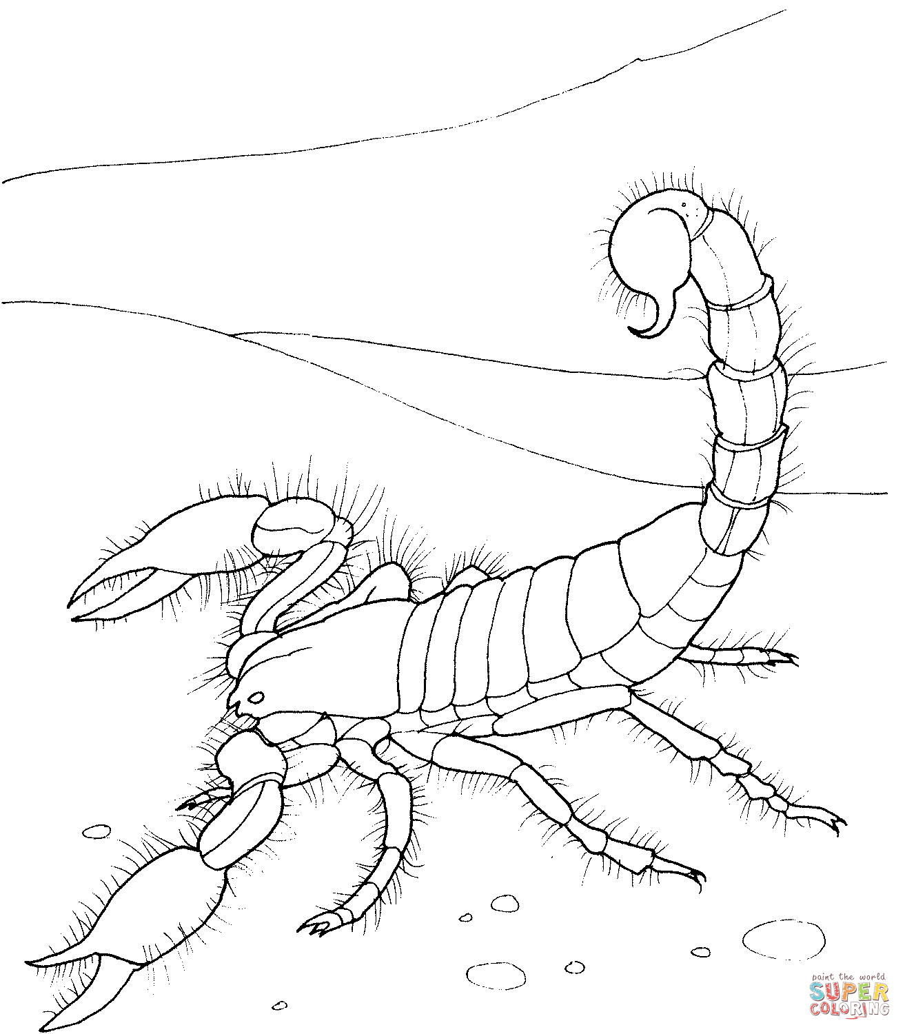 Giant desert scorpion coloring page free printable coloring pages