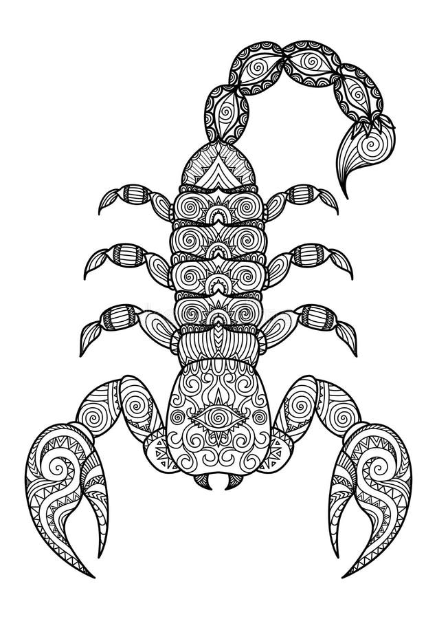 Scorpion coloring stock illustrations â scorpion coloring stock illustrations vectors clipart