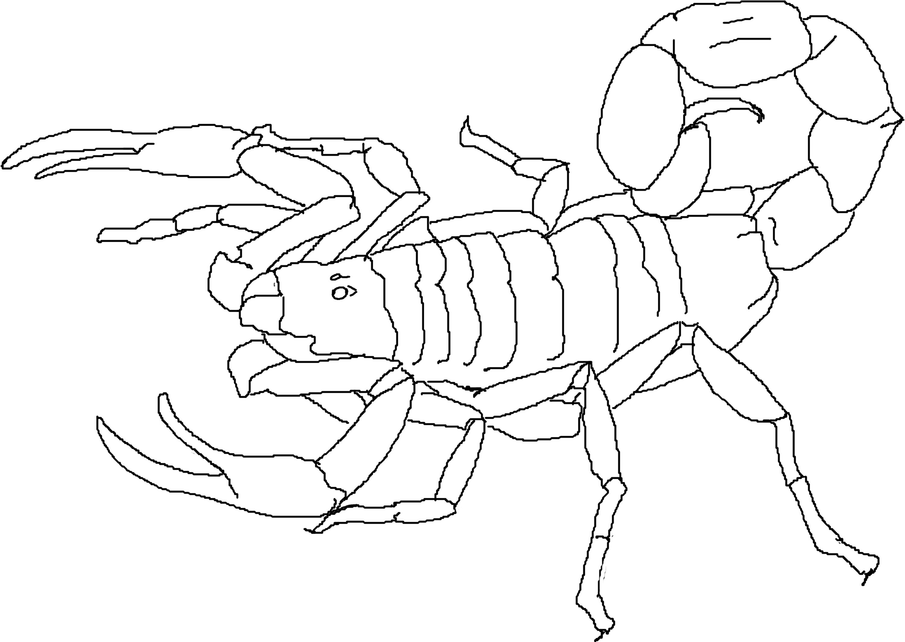 Free printable scorpion coloring pages for kids