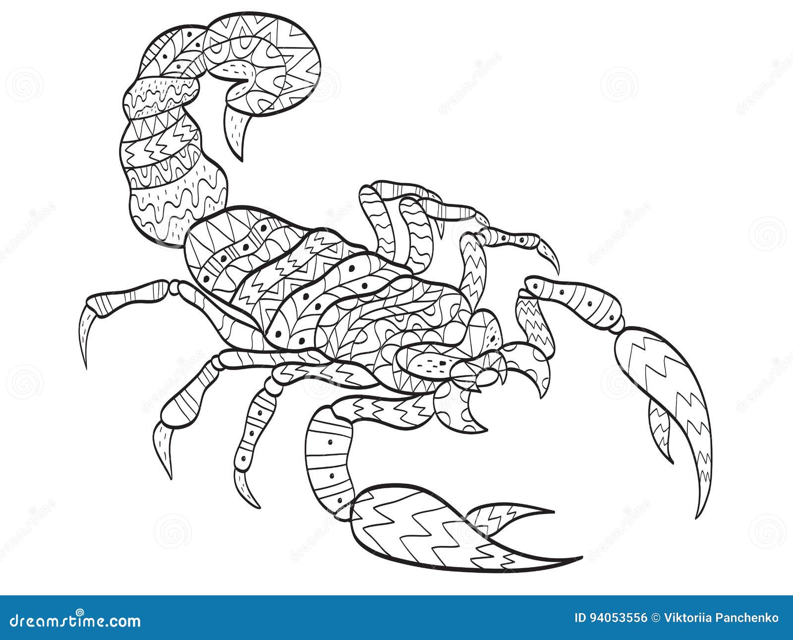 Scorpion coloring stock illustrations â scorpion coloring stock illustrations vectors clipart