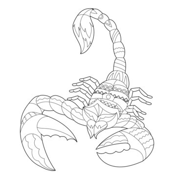 Contour linear illustration for coloring book with decorative scorpion beautiful animal anti stress picture line art design for adult or kids in zen