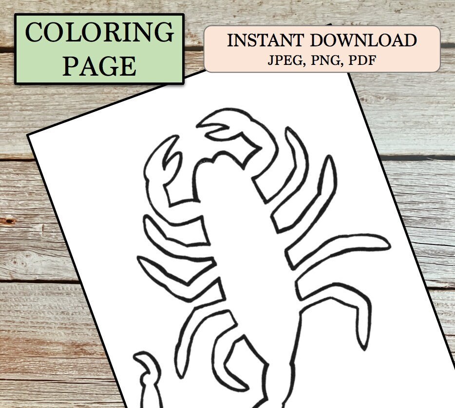 Scorpion coloring page jpeg pdf png bark scorpion arizona creature outline