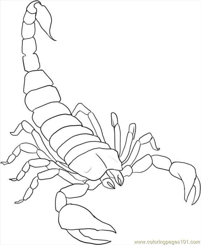 Image detail for