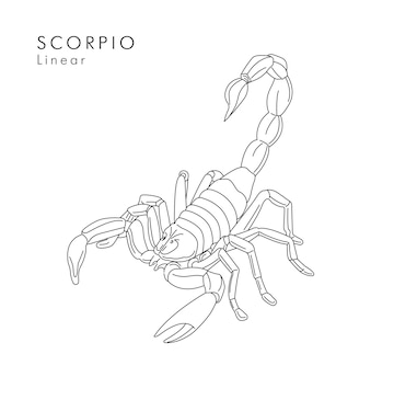 Premium vector scorpion linear illustration sketch for tattoo outline hand drawn graphic