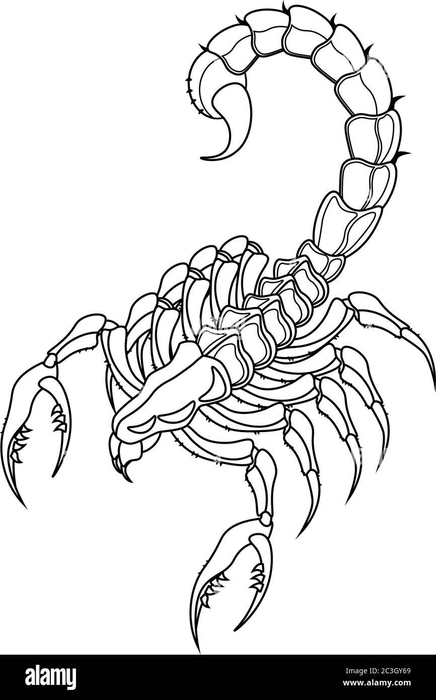 Scorpion venom black and white stock photos images