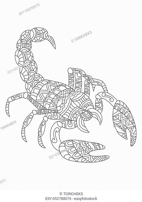 Scorpio zodiac sign coloring book vector illustration tattoo stencil stock vector vector and low budget royalty free image pic esy