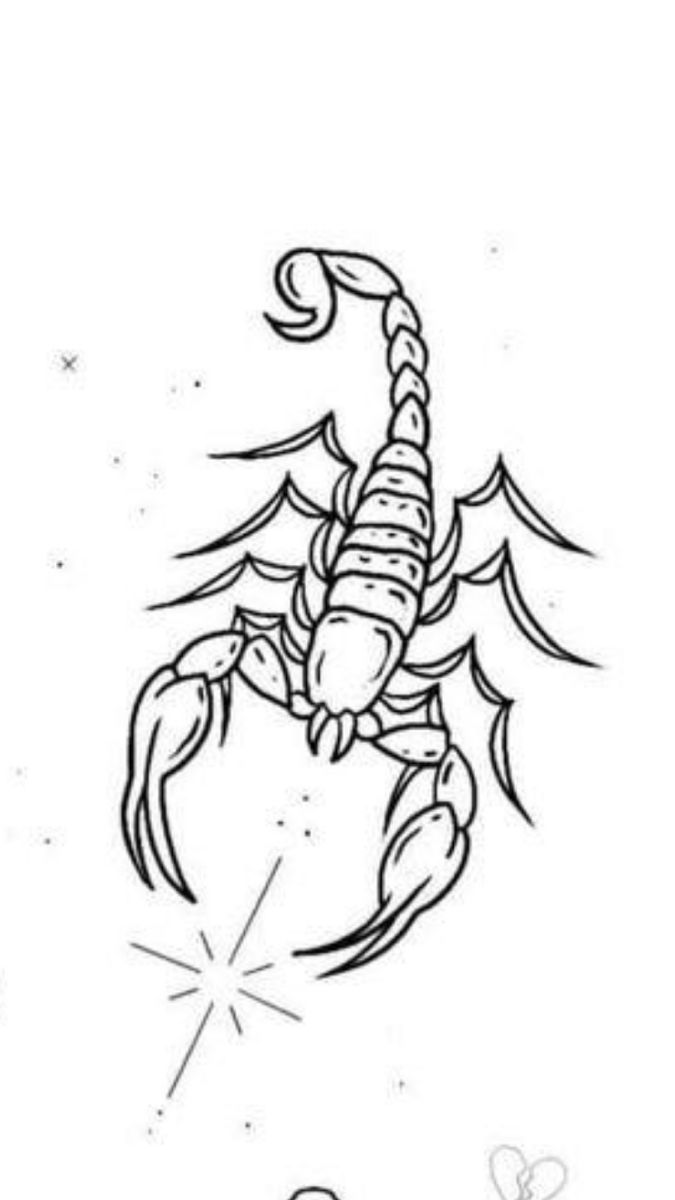 Pin by monikacruz on drawings insect tattoo scorpion tattoo baby tattoo designs