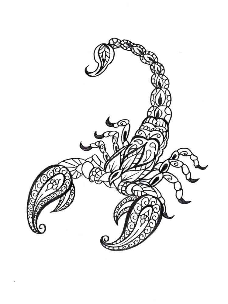 Scorpio coloring pages for adults