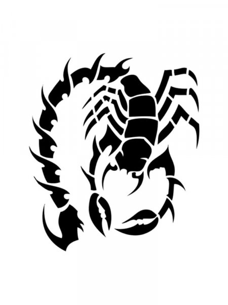 Scorpion stencils