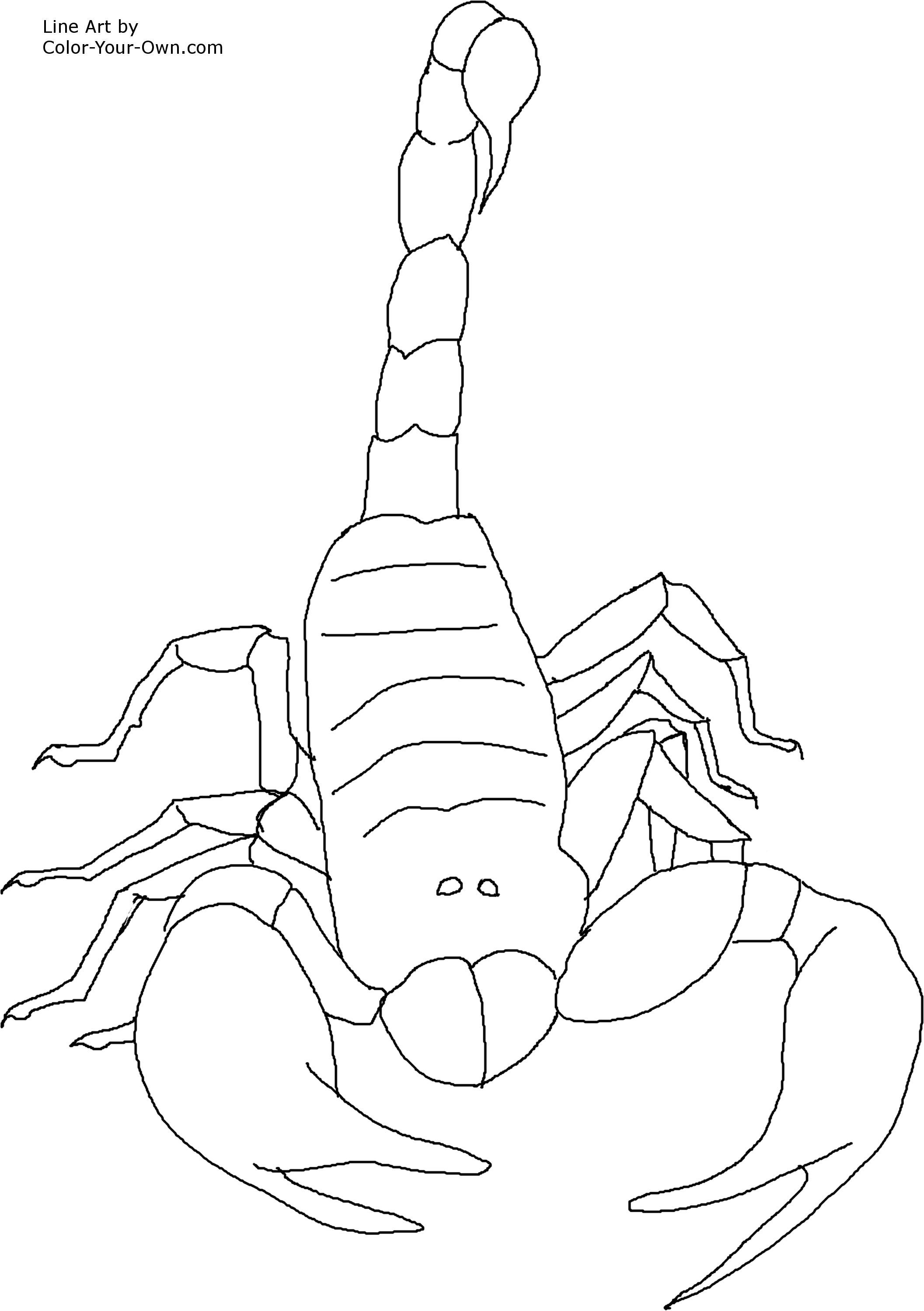 Free printable scorpion coloring pages for kids