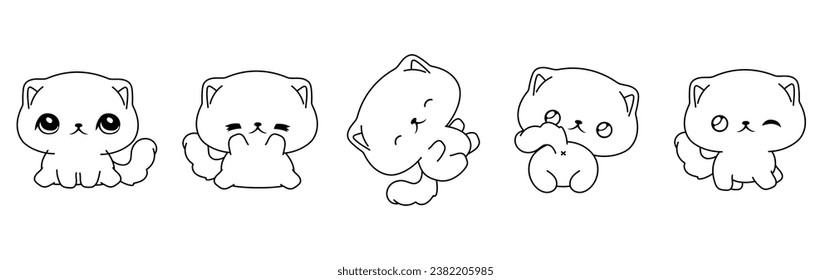 Scottish fold over royalty
