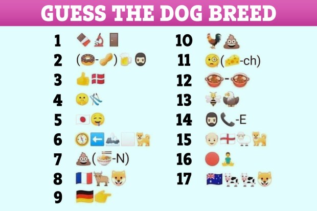 Can you guess all dog breeds in the latest emoji brainteaser the us sun