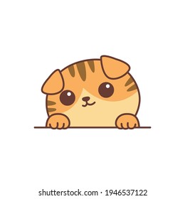 Scottish fold cartoon images stock photos d objects vectors