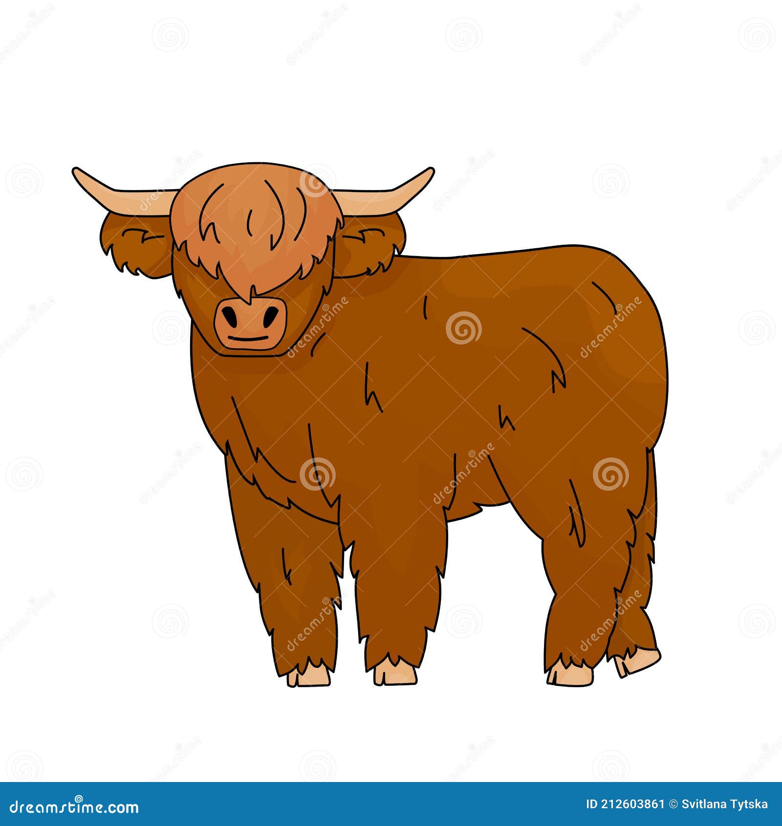 Cute cartoon vector outline doodle illustration of small bull scottish highland cow kid isolated animal stands on the ground on stock vector