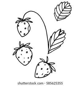 Strawberries leaves prints clothes design textile stock vector royalty free
