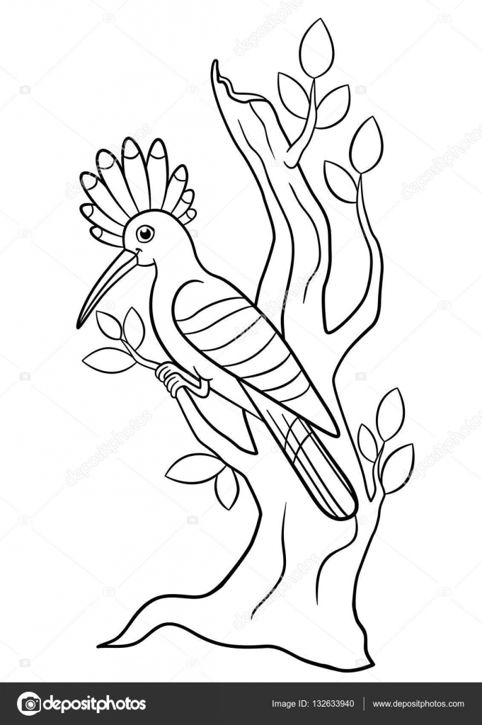 Coloring pages cute beautiful hoopoe sits on the tree branch stock vector by ya