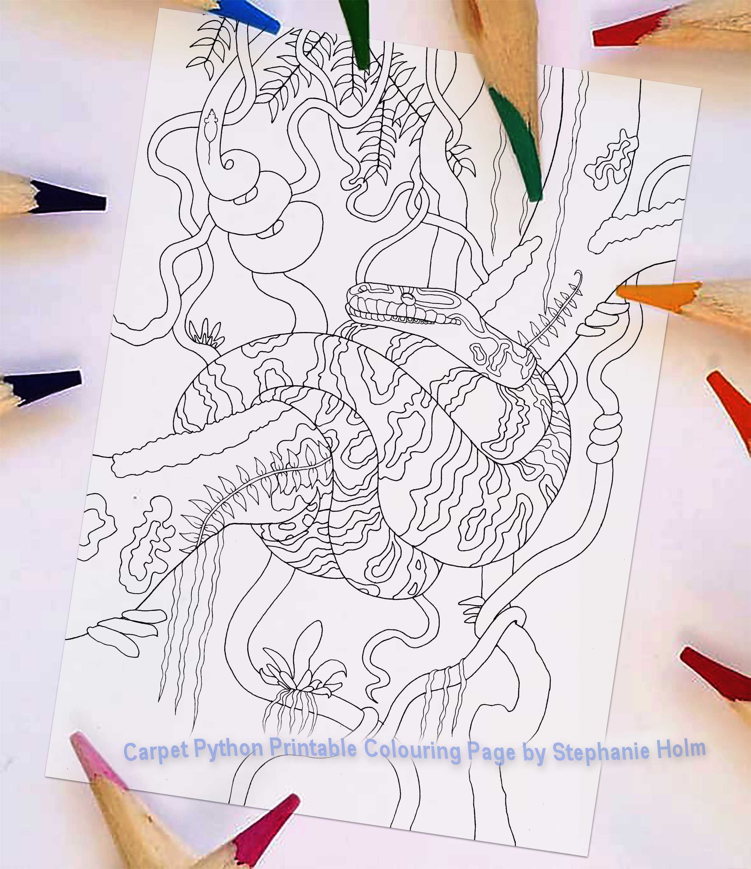 Python coloring page