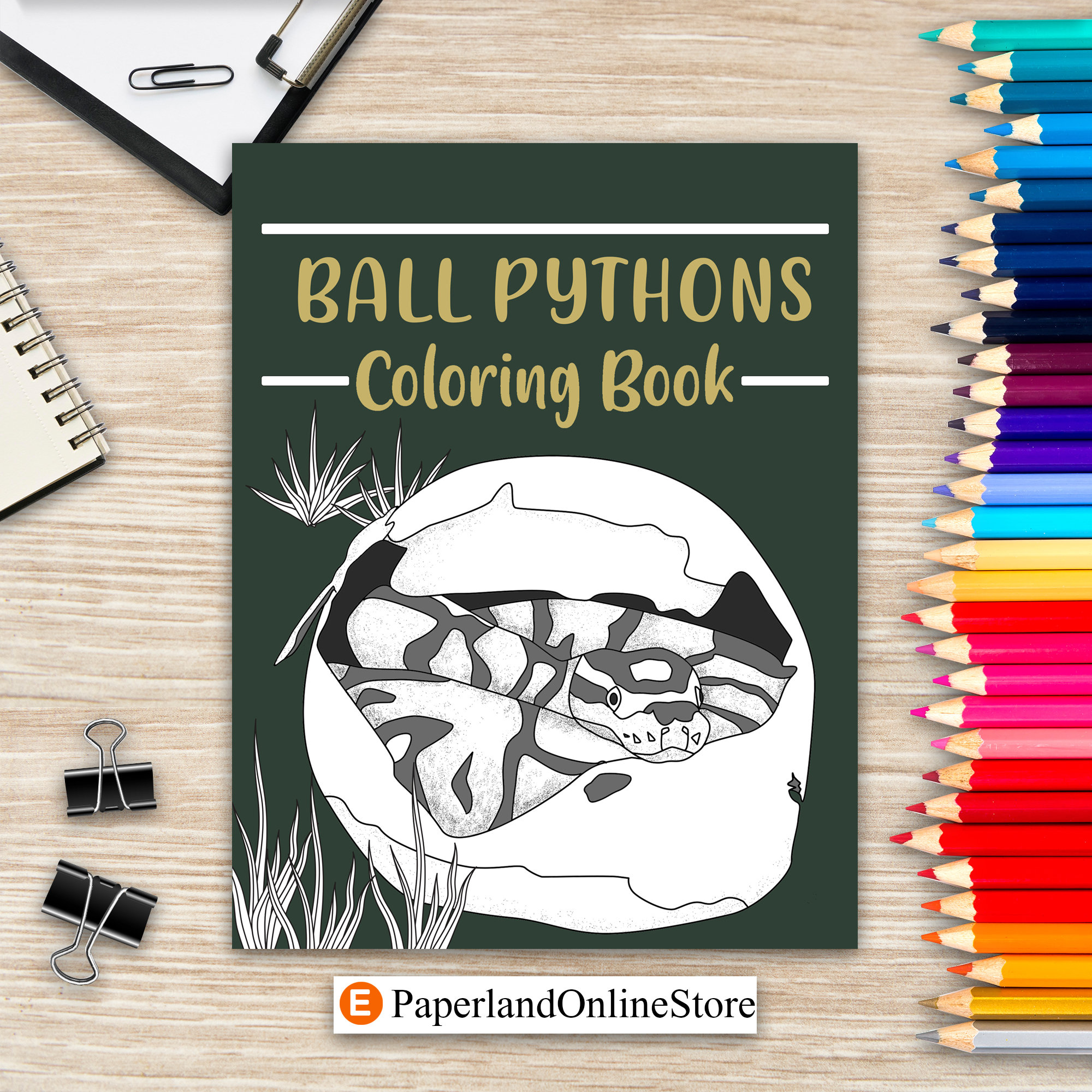 Python coloring page