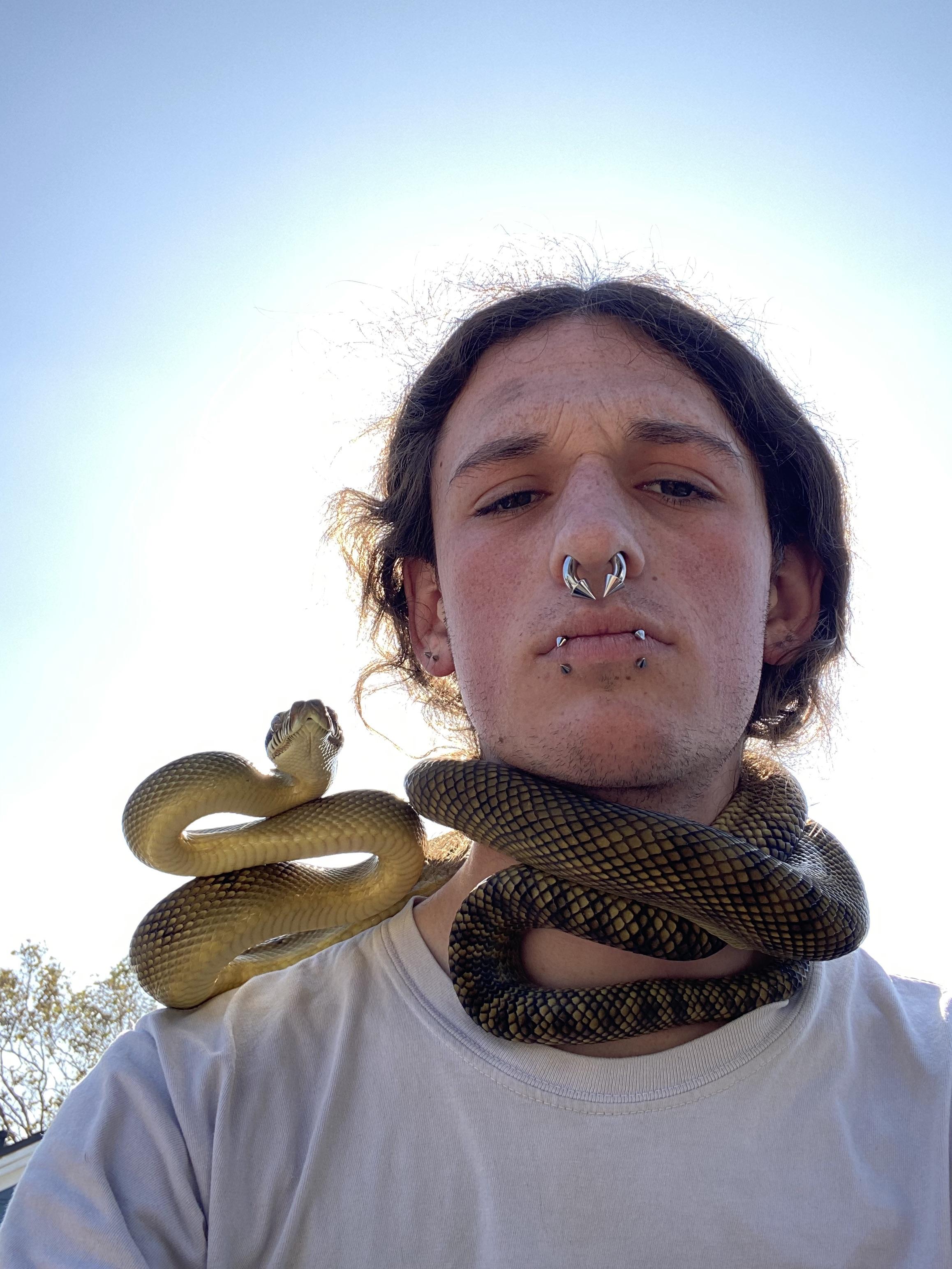 Placing way too much trust in this amethystine python he got returned times for aggression before i came along absolute beauty rsnakes