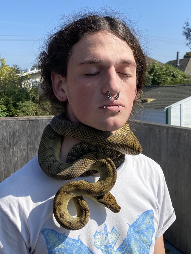 Placing way too much trust in this amethystine pythonðhe got returned times for aggression before i came along absolute beauty rsnakes