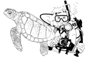 Scuba diving coloring pages free coloring pages