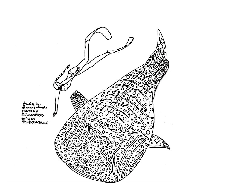 Fun free print outs for kids â one ocean