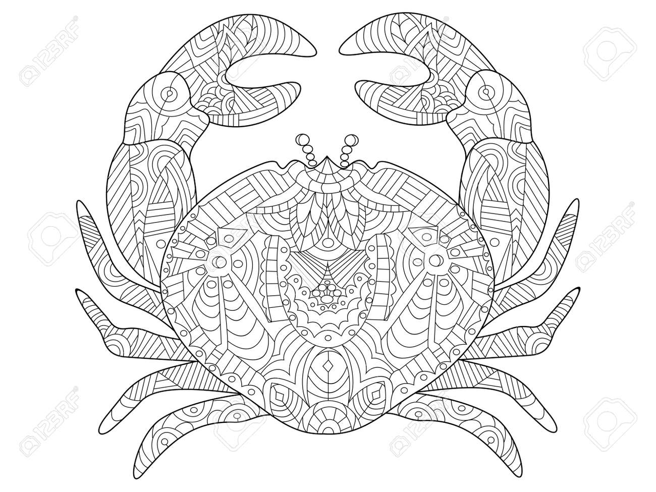 Crab sea animal coloring book for adults vector illustration royalty free svg cliparts vectors and stock illustration image