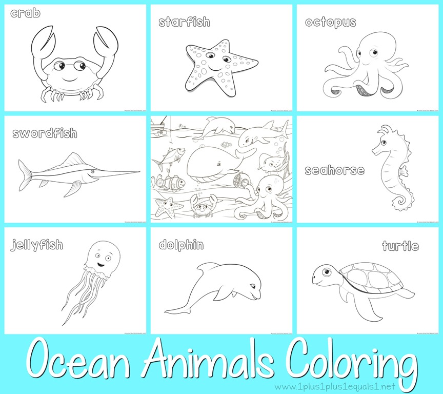 Just color ocean animals