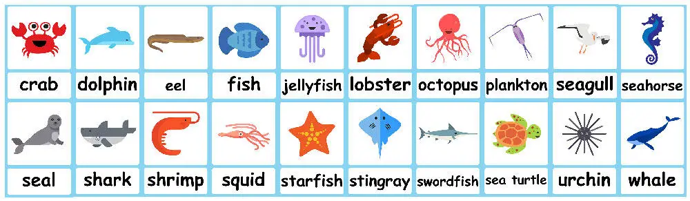 Sea animal flashcards free jungle background