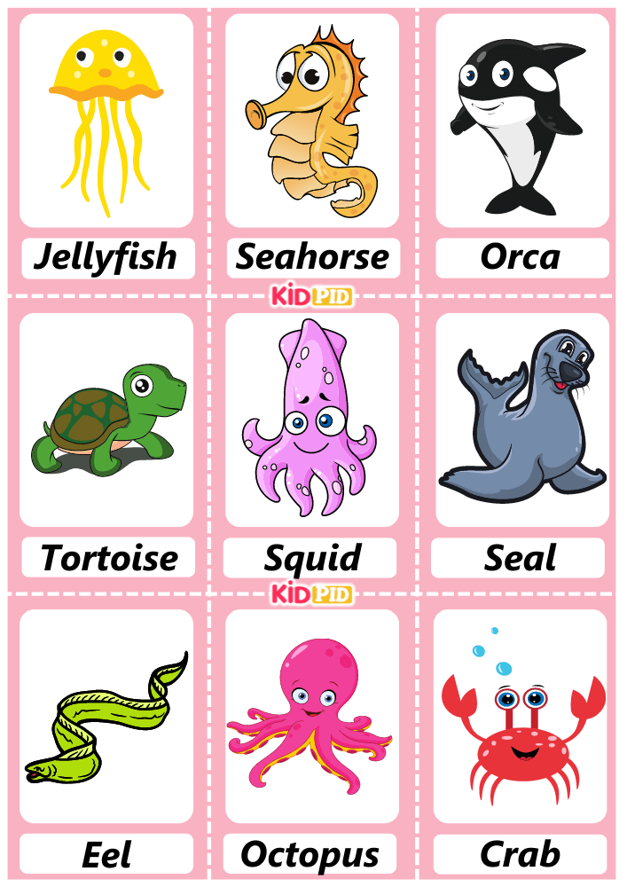 Sea creatures handdrawn flashcard sheets