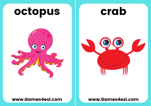 Sea animals flashcards