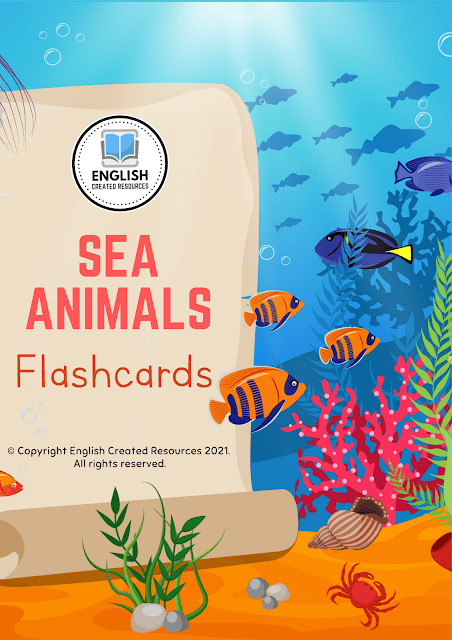 Sea animals flashcards