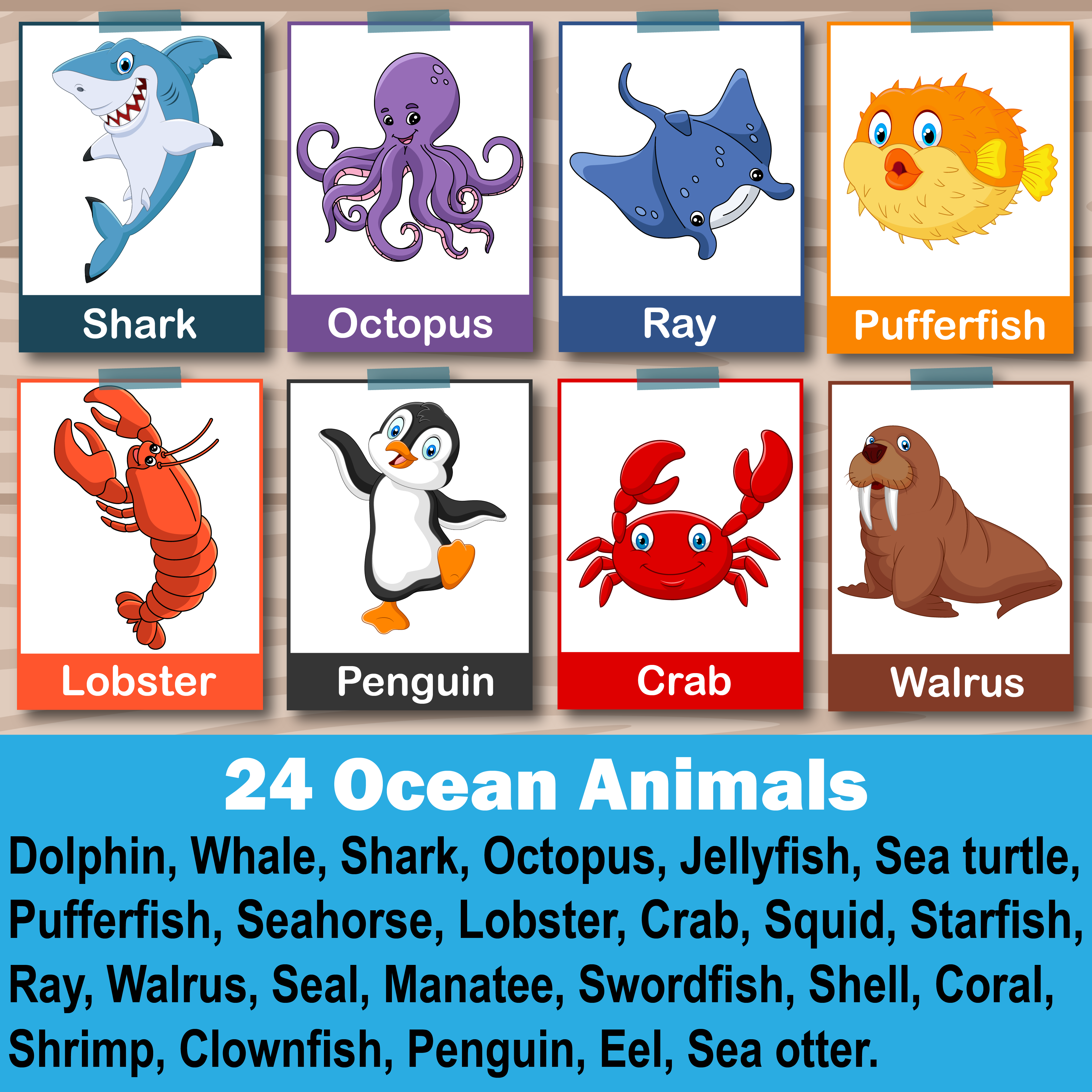 Ocean animals flashcards