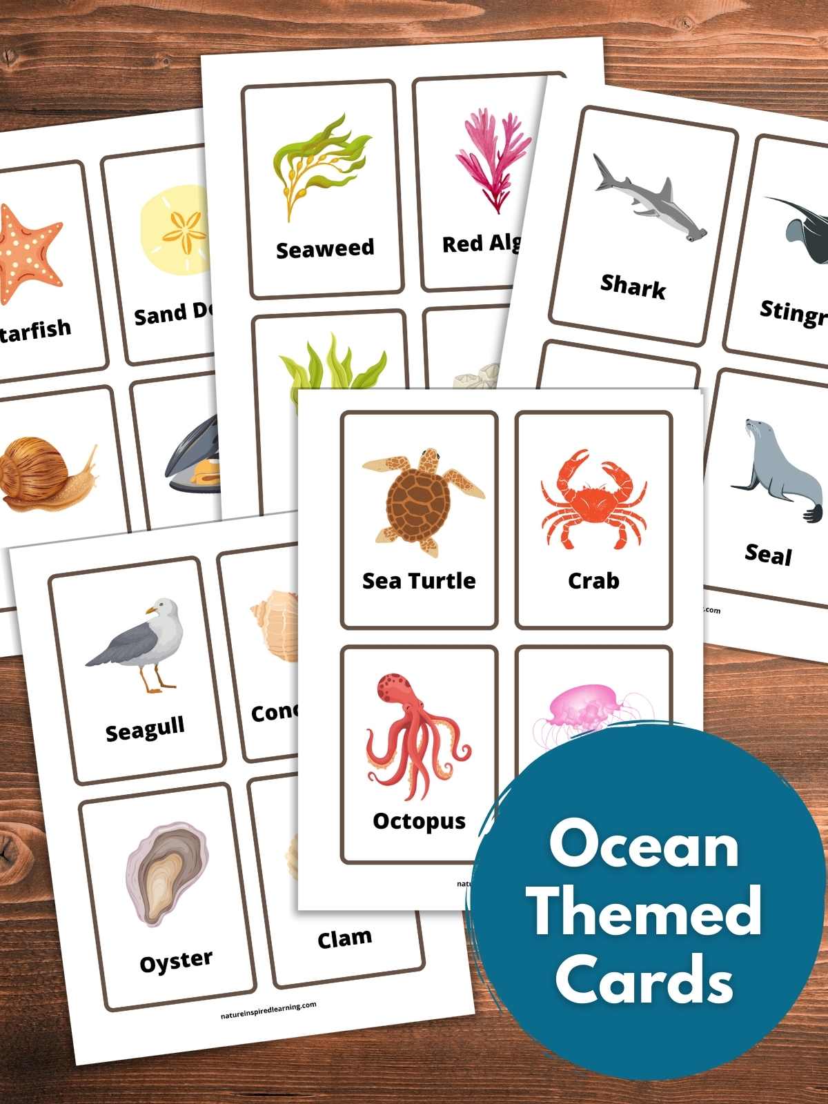 Ocean flashcards free printable