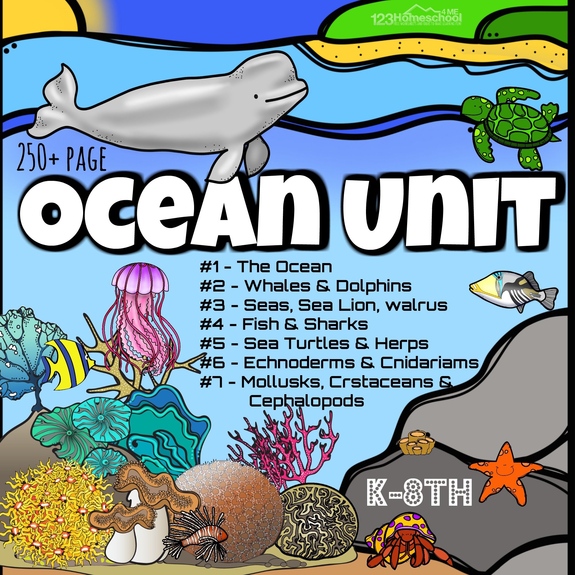 Huge ocean animals lesson