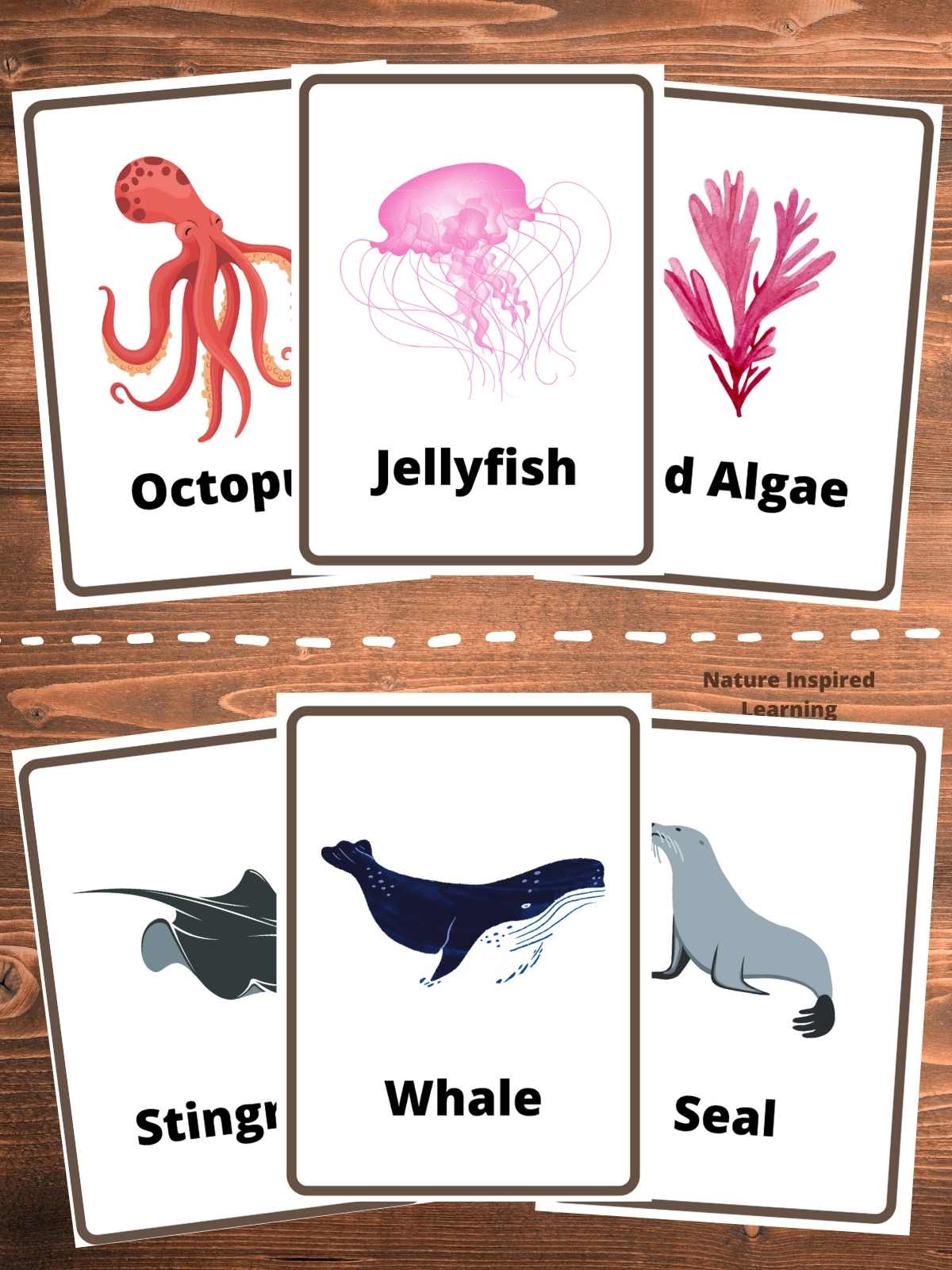 Ocean flashcards free printable