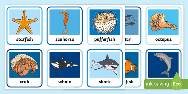 Ocean animals matching activity cards