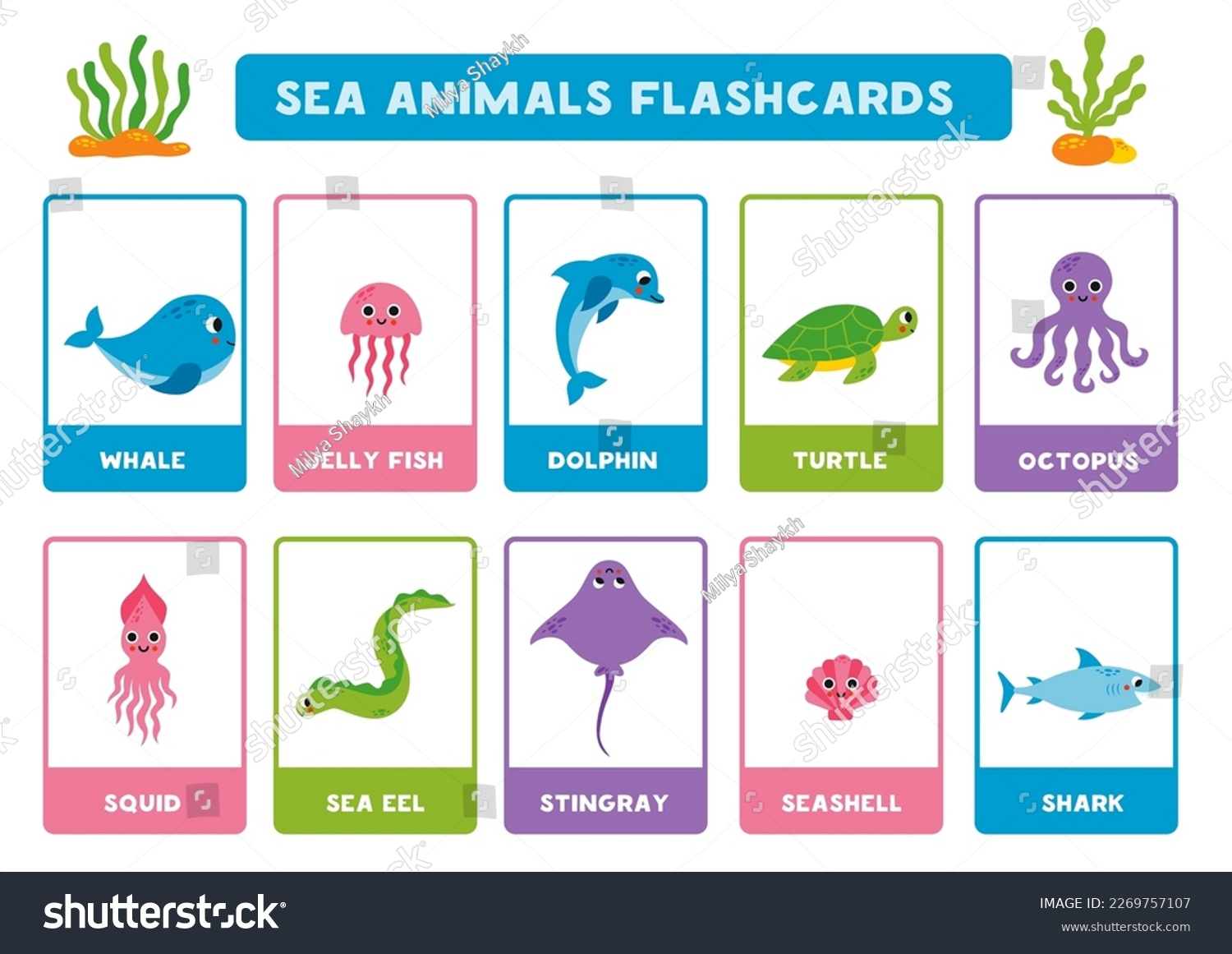 Flashcards kids cute cartoon sea animals åºåçéåïå ççï