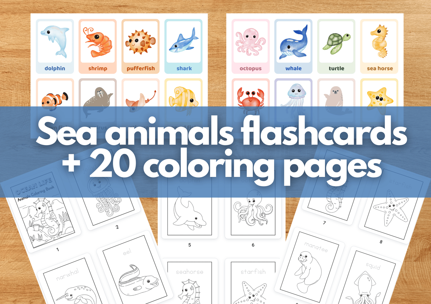 Sea animals flashcards sea animal coloring coloring pages