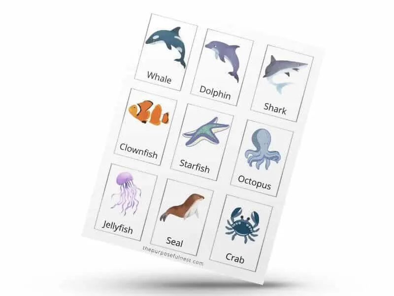 Ocean animals memory cards