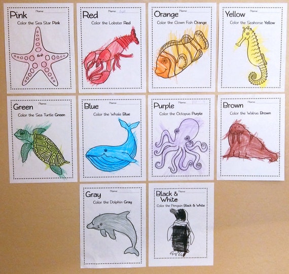 Learning colors marine animals coloring pages