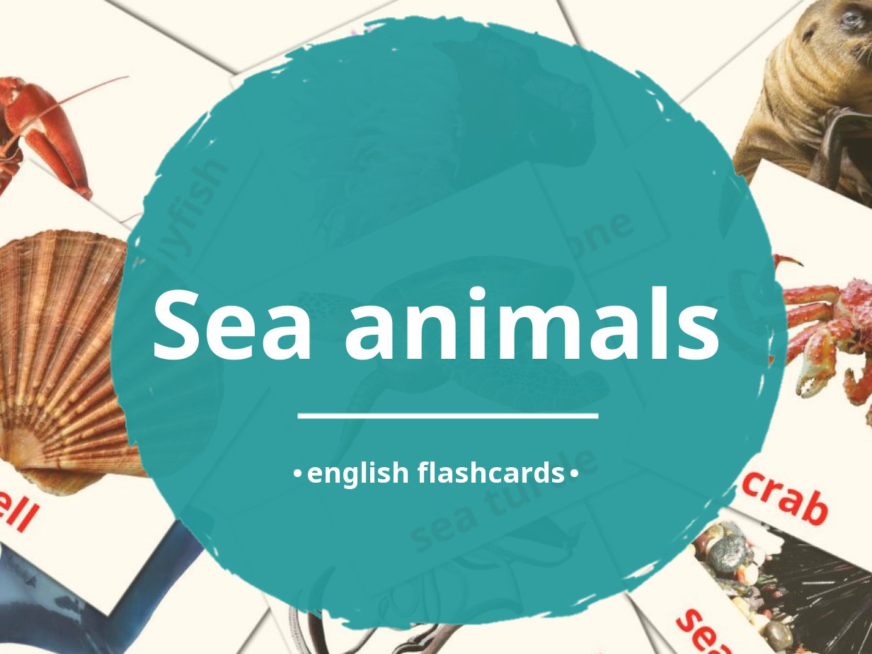 Free sea animals flashcards pdf english words