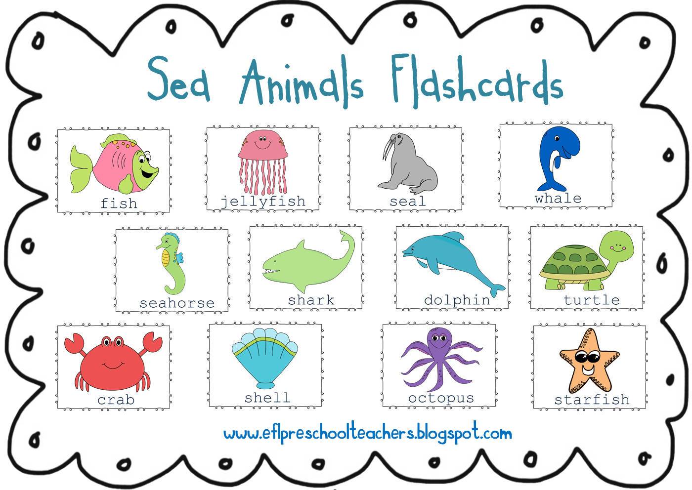 Sea animals for english language learners â bilingual marketplace