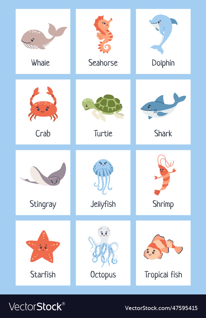 Sea animal flashcards learning ocean vocabulary vector image