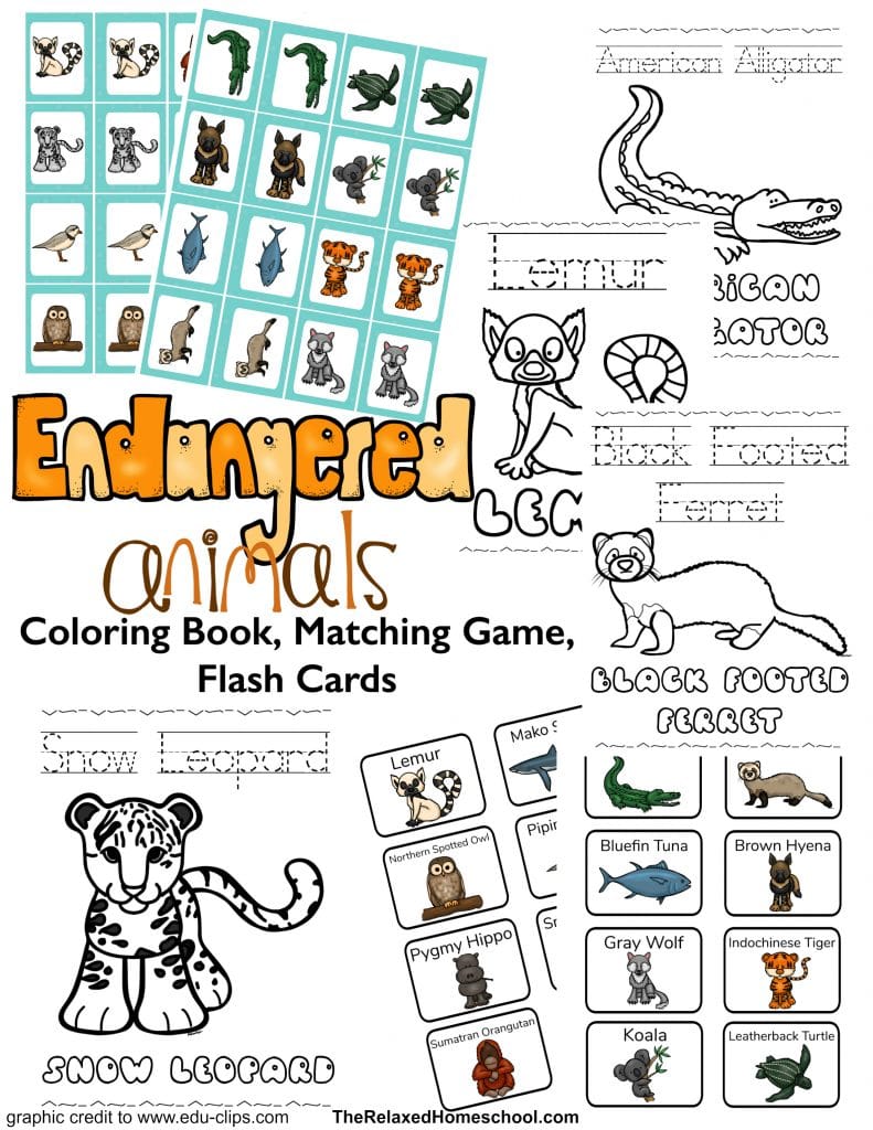 Free printable endangered animals resource