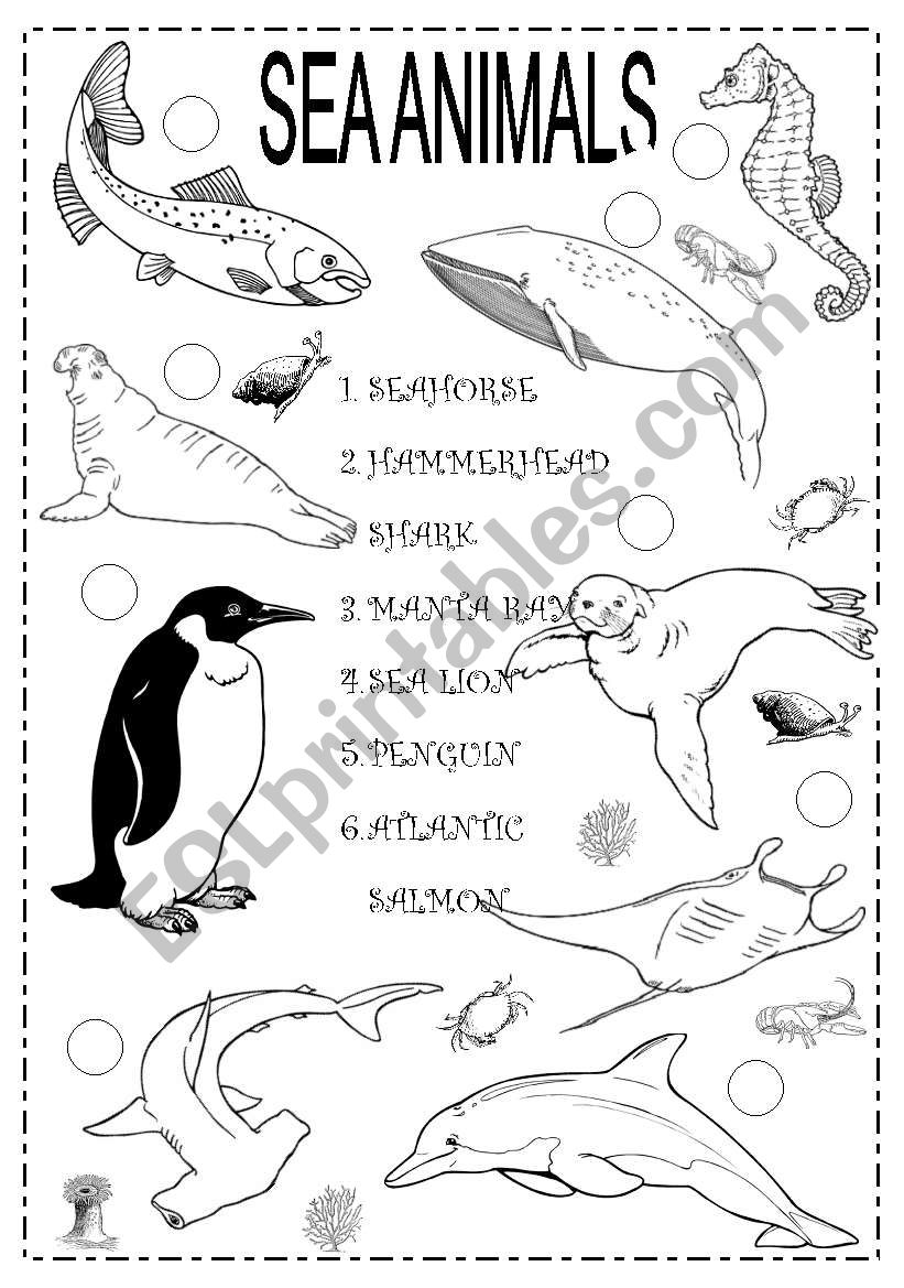 Sea animals