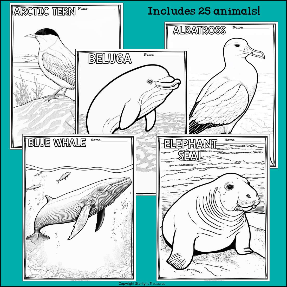 Arctic animals research posters coloring pages