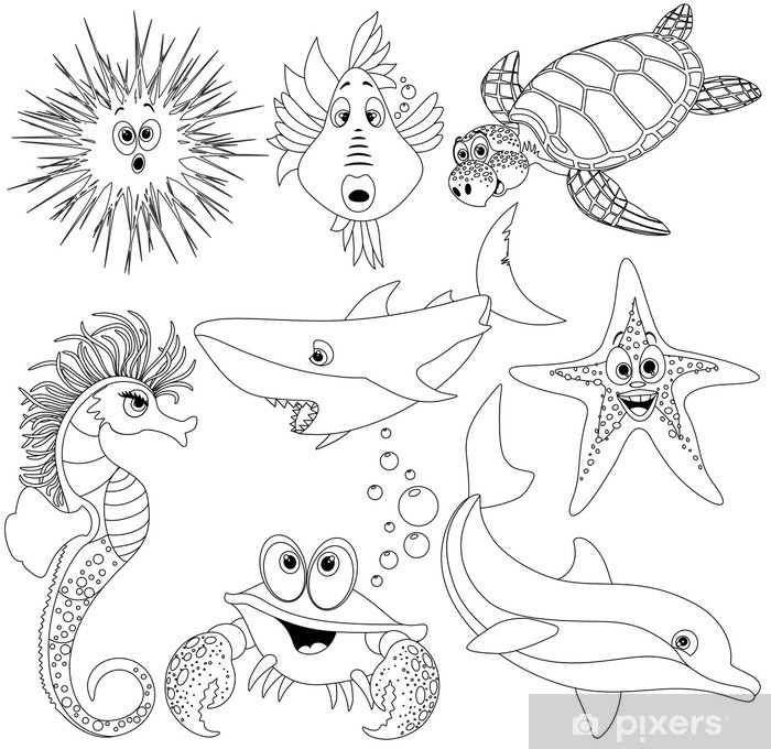 Poster animali mare da colorare