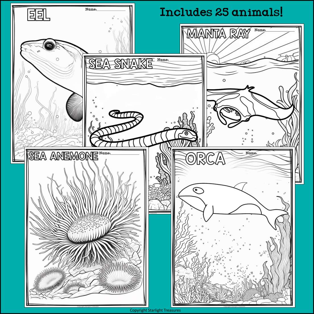 Ocean animals research posters coloring pages